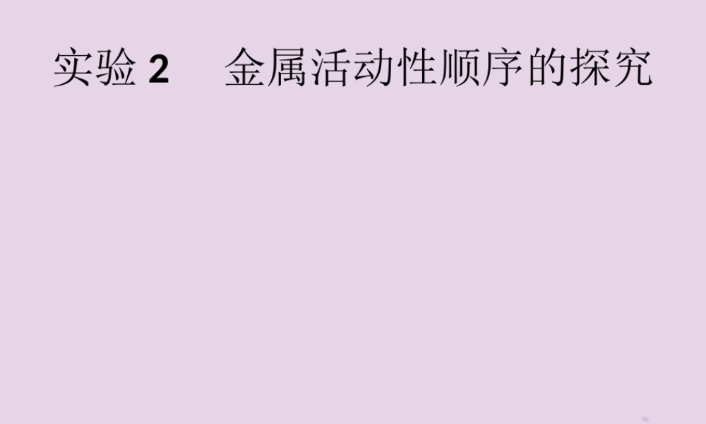 课标通用中考化学总复习实验2金属活动性顺序的探究课件201904053128【考百分kao100.com】.pptx