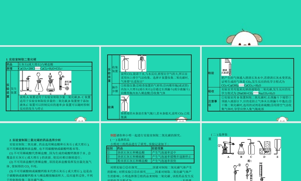 课标通用中考化学总复习实验二氧化碳的实验室制任件201904053136【考百分kao100.com】.pptx