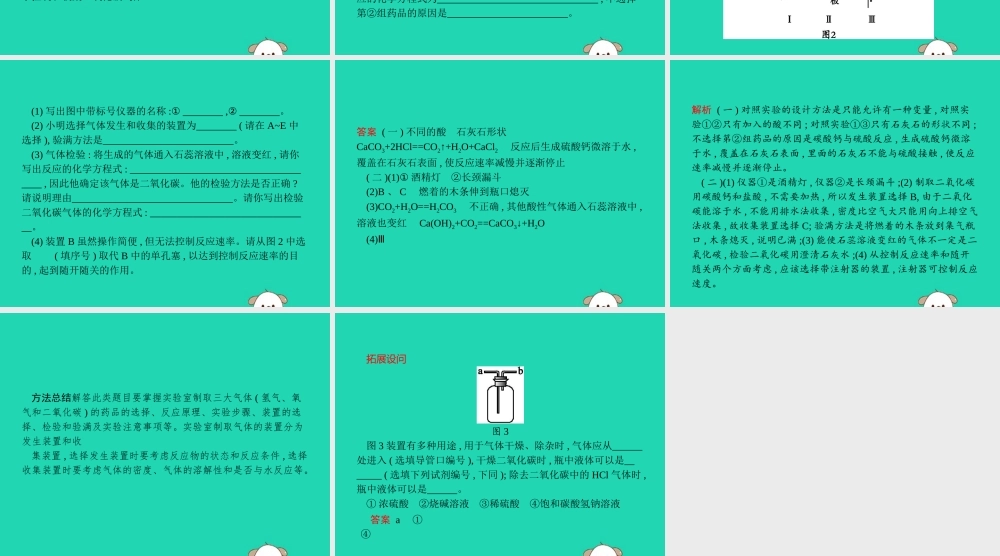 课标通用中考化学总复习实验二氧化碳的实验室制任件201904053136【考百分kao100.com】.pptx