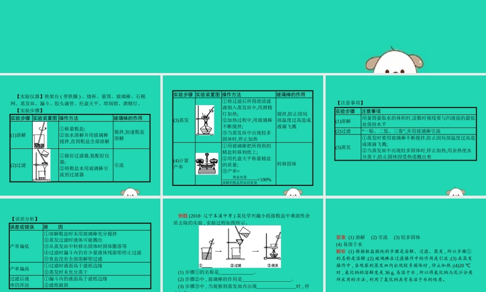 课标通用中考化学总复习实验粗盐中难溶性杂质的去除课件201904053138【考百分kao100.com】.pptx