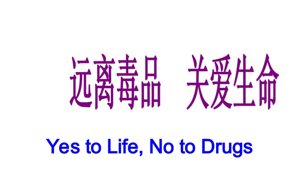 远离毒品珍爱生命 .ppt
