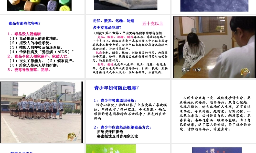 远离毒品珍爱生命 .ppt