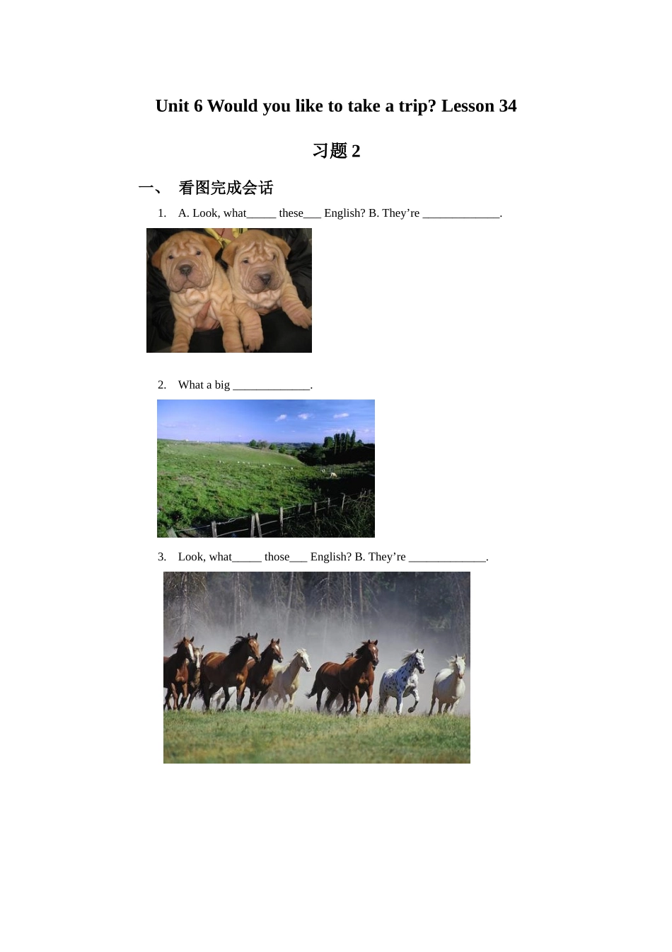 Unit 6 Would you like to take a trip Lesson 34 习题2.doc_第1页