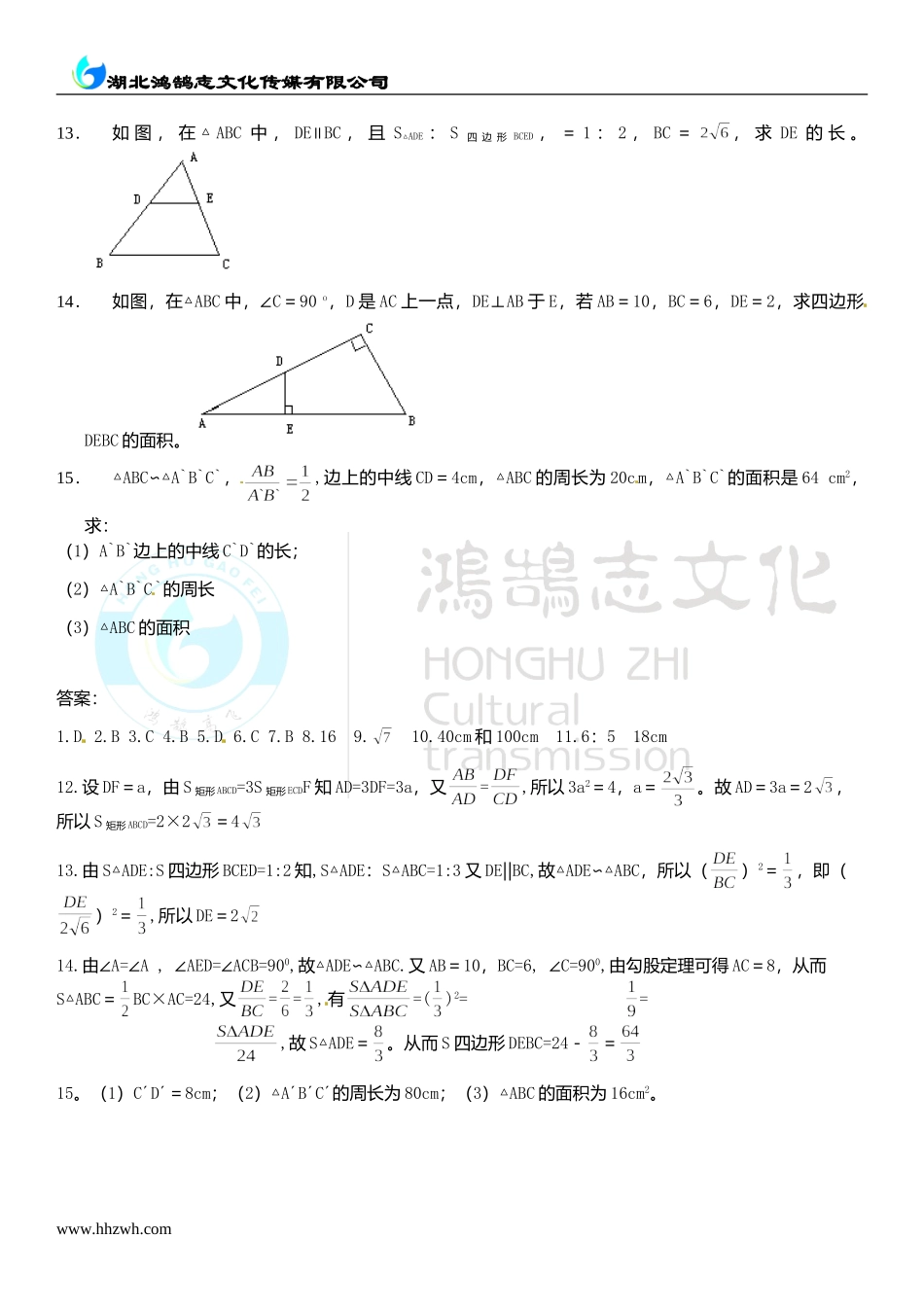 4.7相似多边形的性质.doc_第2页