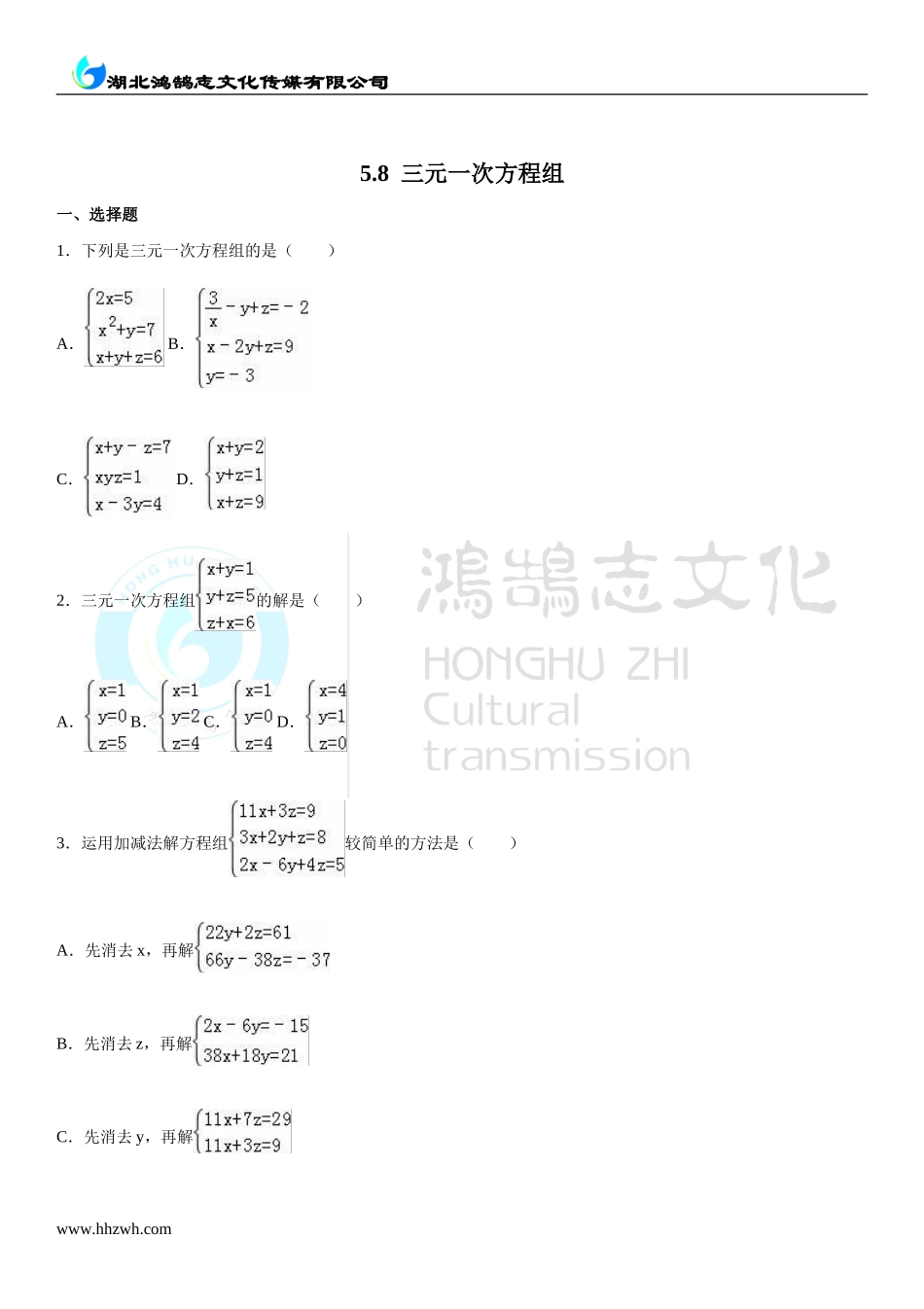 5.8三元一次方程组.doc_第1页