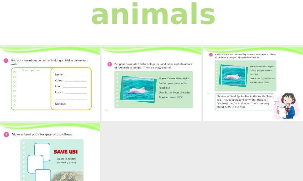 预课--Project 2.ppt