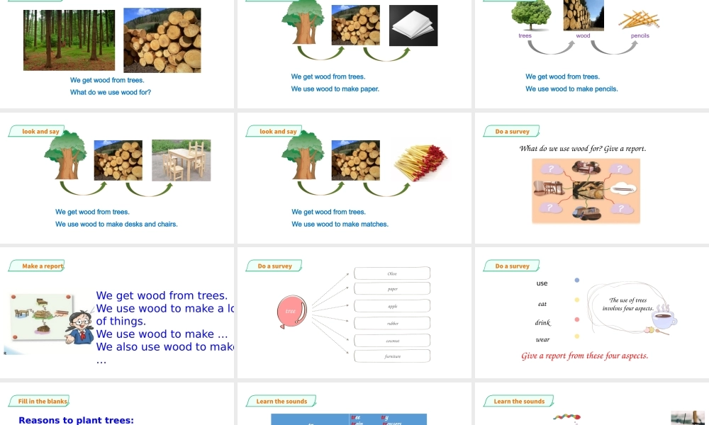 预课--Unit 11 Trees (3)课件.pptx