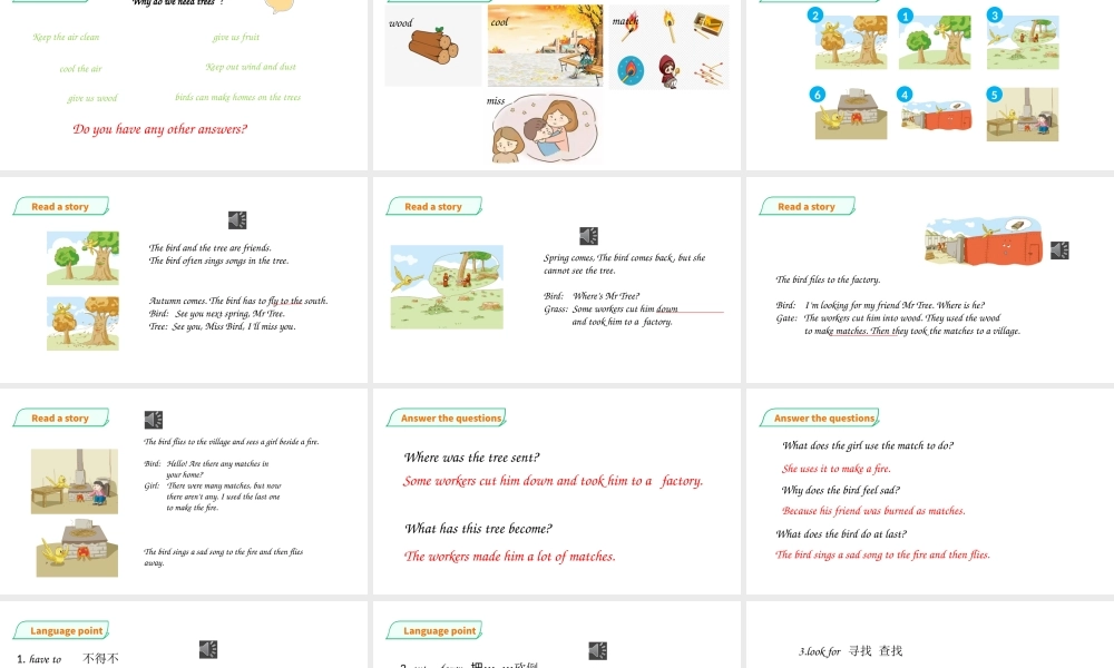 预课--Unit 11 Trees (2)课件.pptx