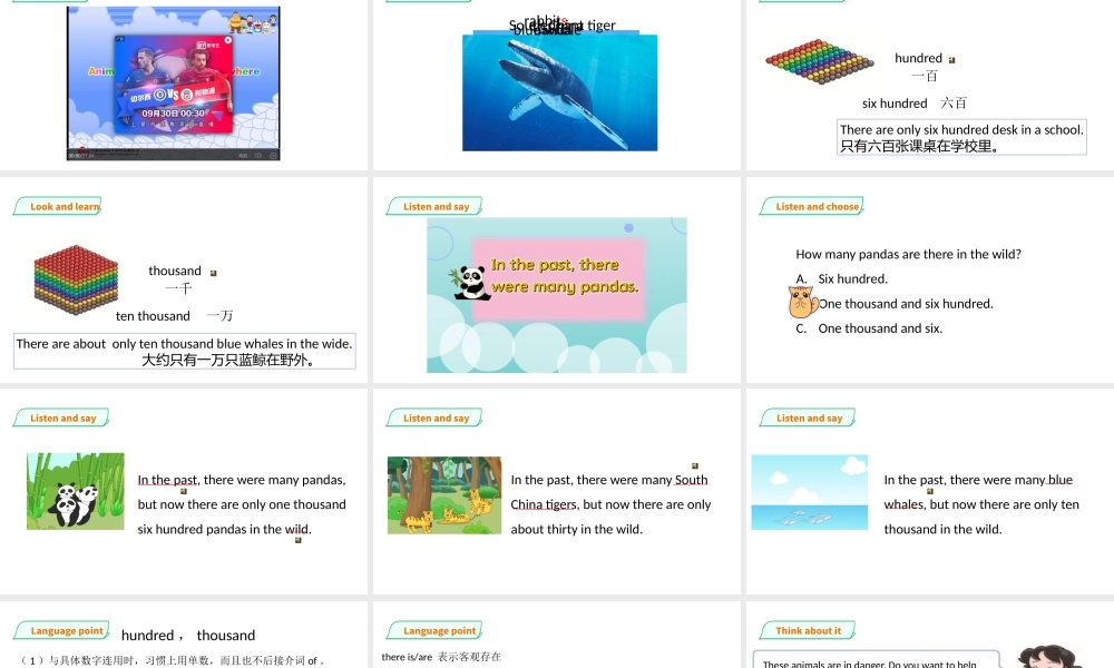 预课--Unit 5 Animals in danger(1)课件.pptx