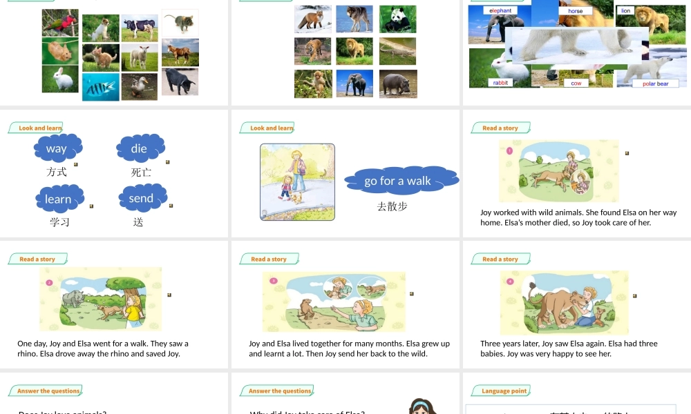 预课--Unit 5 Animals in danger(2)课件.pptx