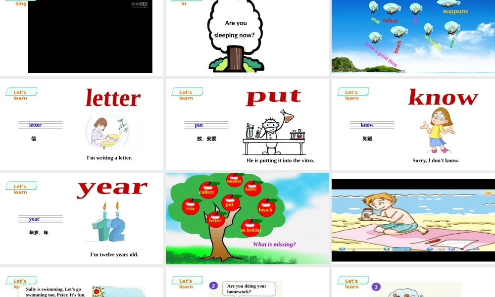 预课--Unit 7 At the beach第二课时.pptx