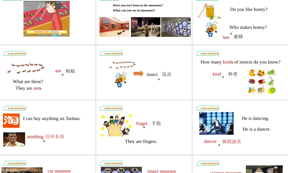 预课--Unit 8 Visiting museums(1)课件.pptx