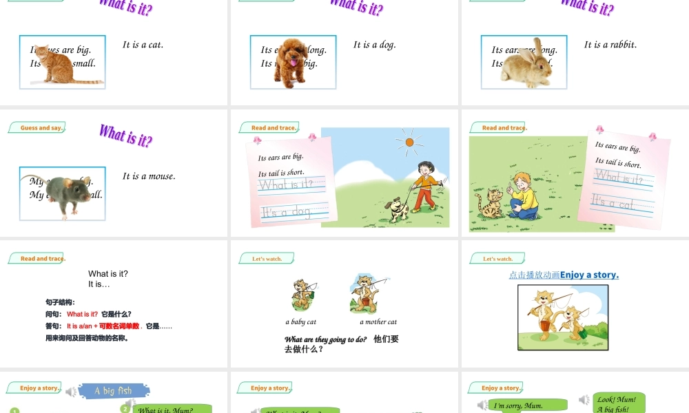 预课——Unit 11 Small animals(2) 课件.ppt