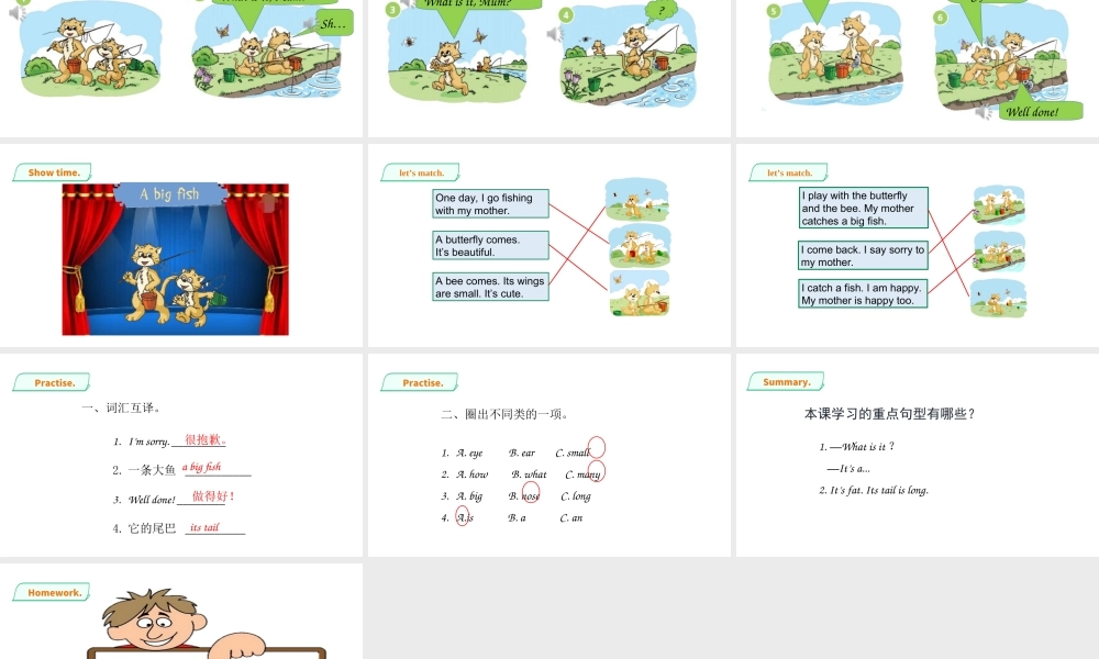 预课——Unit 11 Small animals(2) 课件.ppt