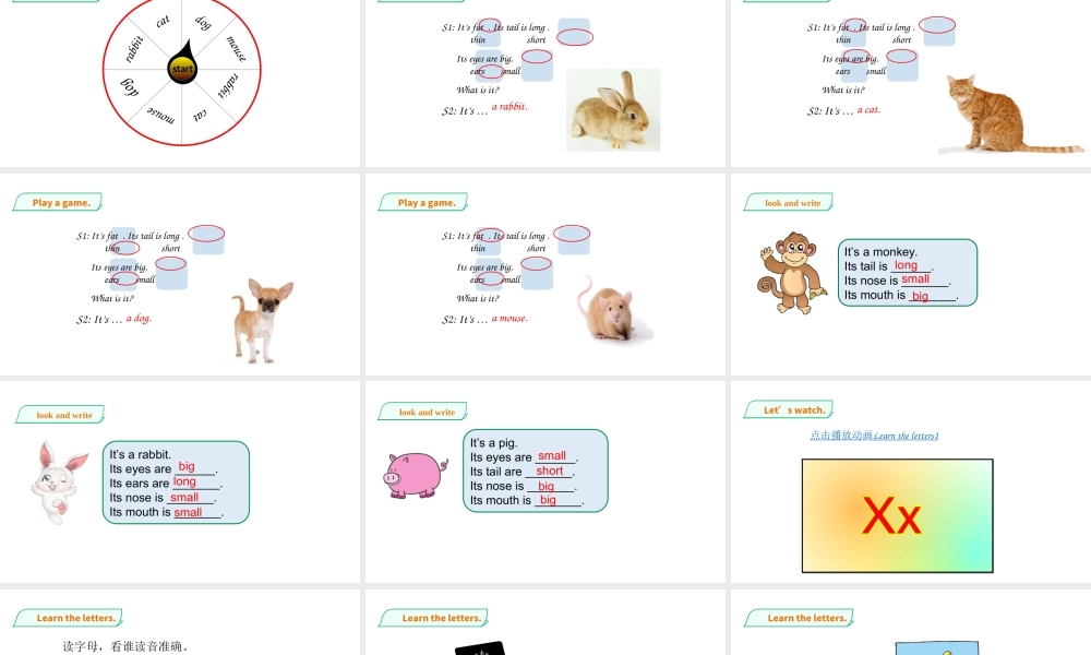 预课——Unit 11 Small animals(3) 课件.ppt