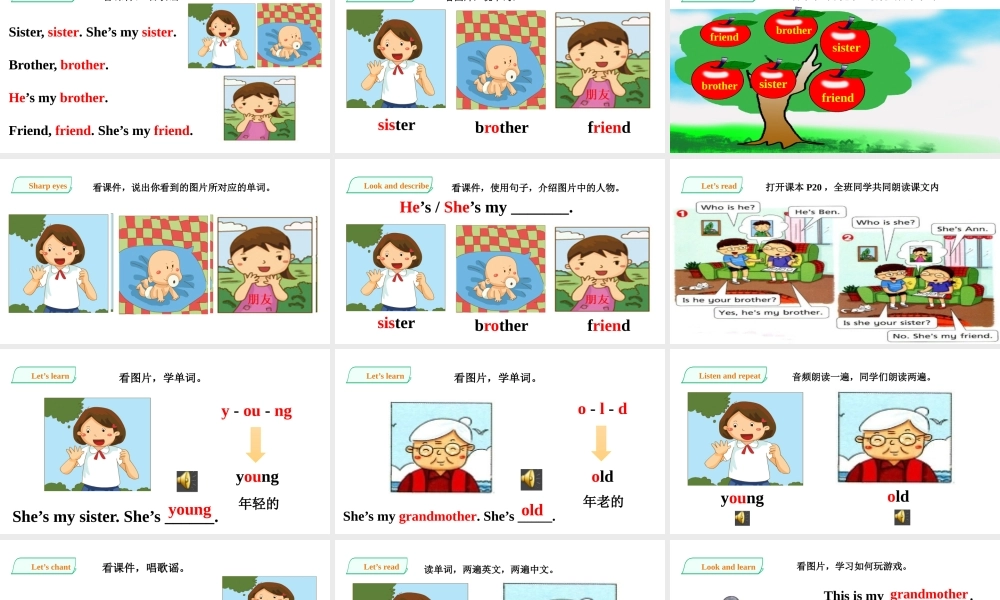 预课——Unit 5 That's my family Let's learn Let's play 课件.pptx