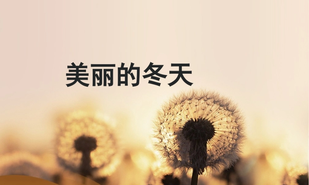 （2016年秋季版）《13 美丽的冬天》课件（1）..ppt