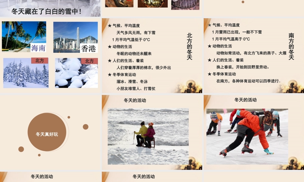 （2016年秋季版）《13 美丽的冬天》课件（1）..ppt