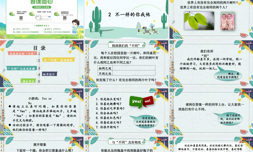 2 不一样的你我他.pptx