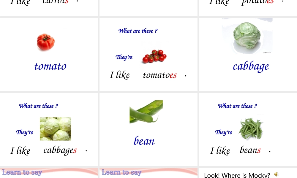 2019春北师大版（三起）三下Unit 8《Vegetables》ppt课件1.ppt