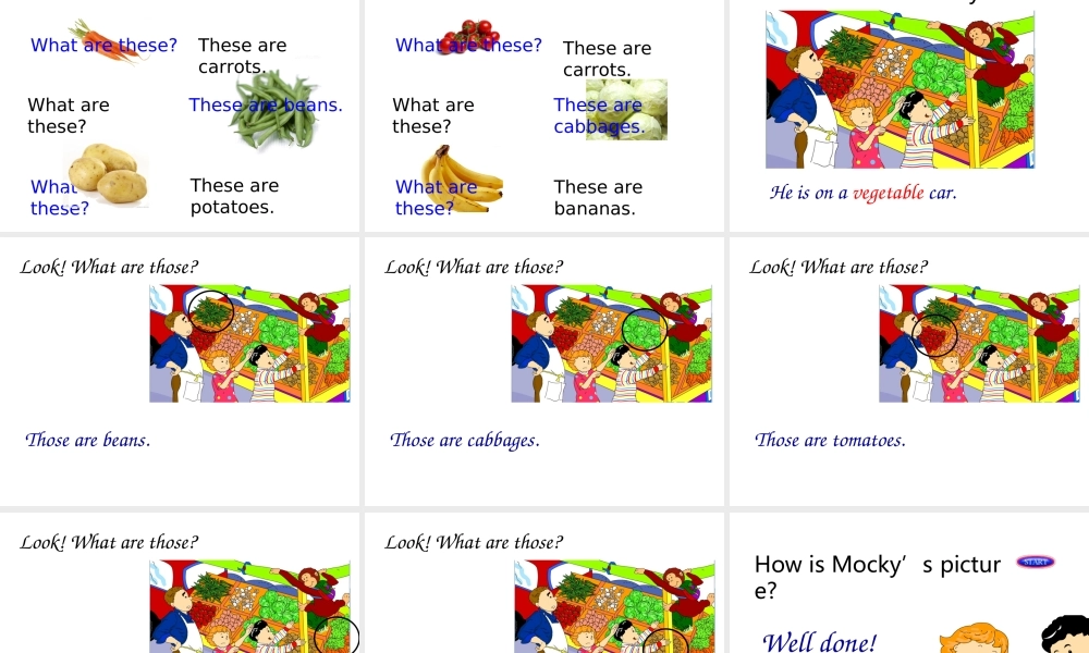 2019春北师大版（三起）三下Unit 8《Vegetables》ppt课件1.ppt