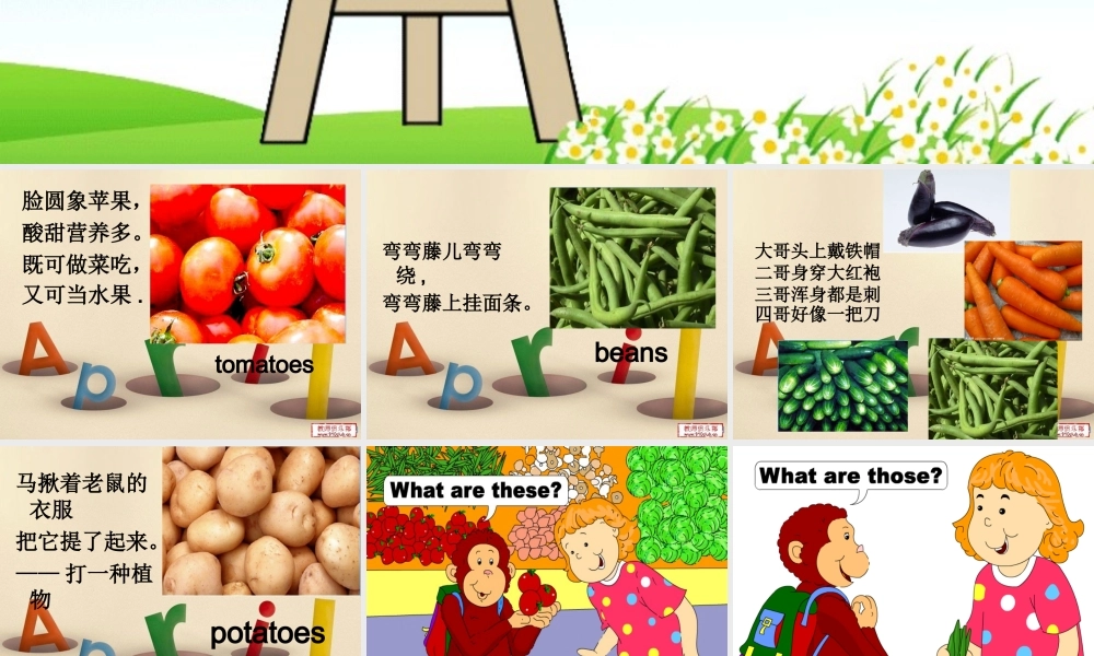 2019春北师大版（三起）三下Unit 8《Vegetables》（Lesson 1）ppt课件1.ppt