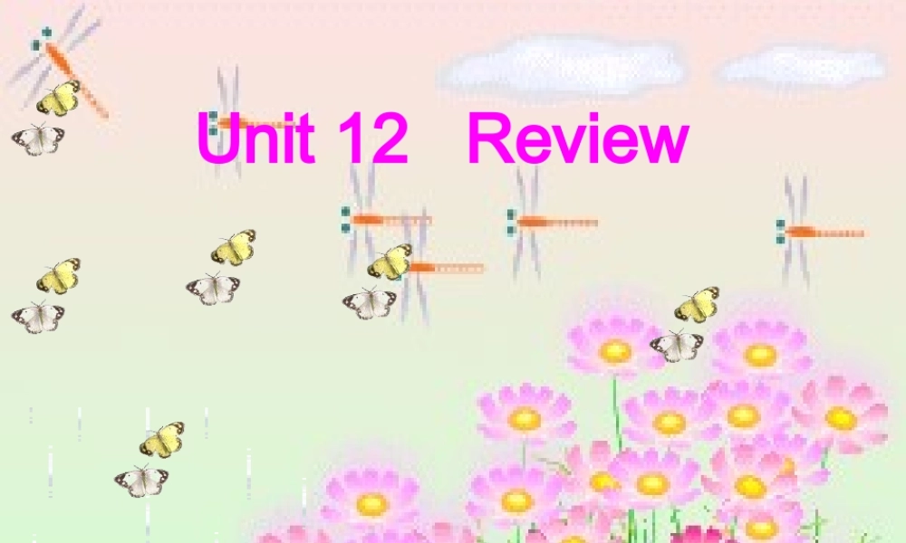 2019春北师大版（三起）六下Unit 12《Review 3》ppt课件4.ppt