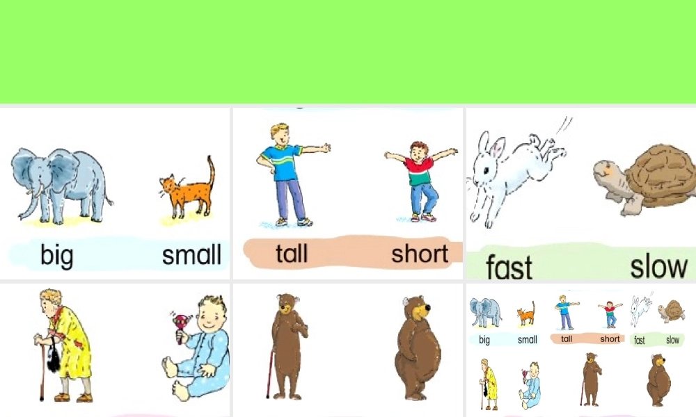 2019春北师大版（三起）四下Unit 8《Talent Show》ppt课件2.ppt