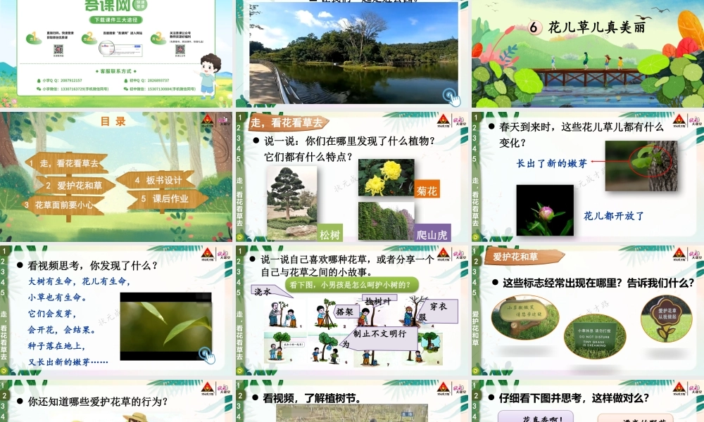 6 花儿草儿真美丽.pptx