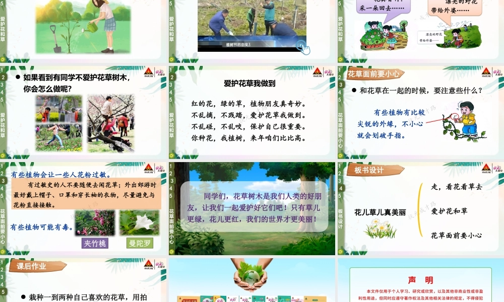 6 花儿草儿真美丽.pptx