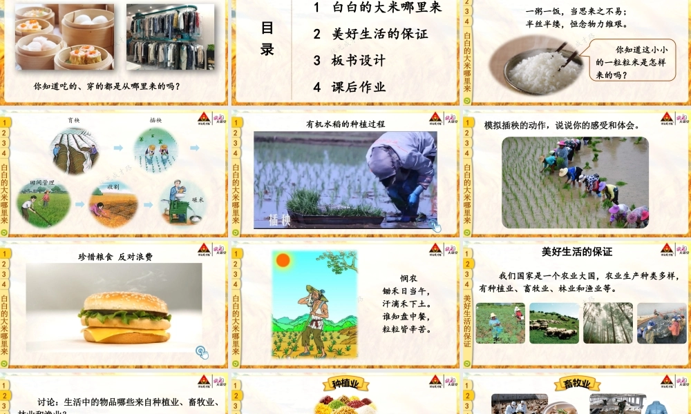 7 我们的衣食之源.pptx