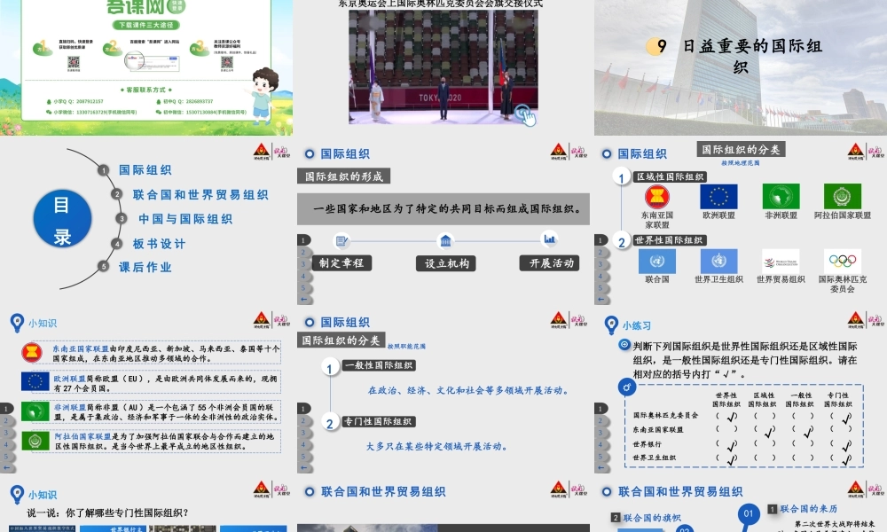 9 日益重要的国际组织.pptx