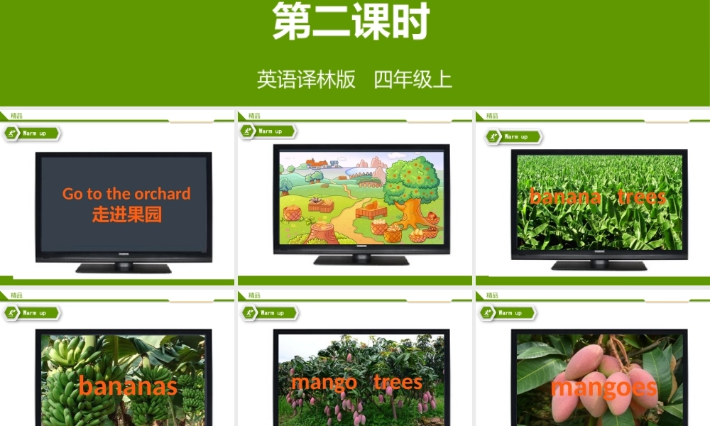 Unit 2 Let's make a fruit salad第二课时教学课件.pptx