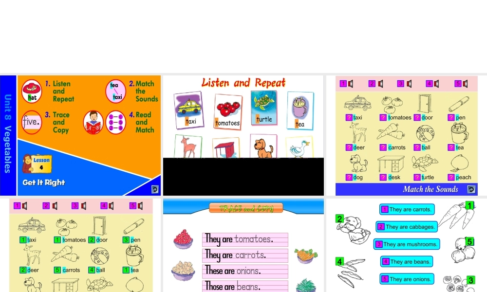 三年级下英语课件-Unit 8 Vegetables (3)-北师大版(三起).ppt