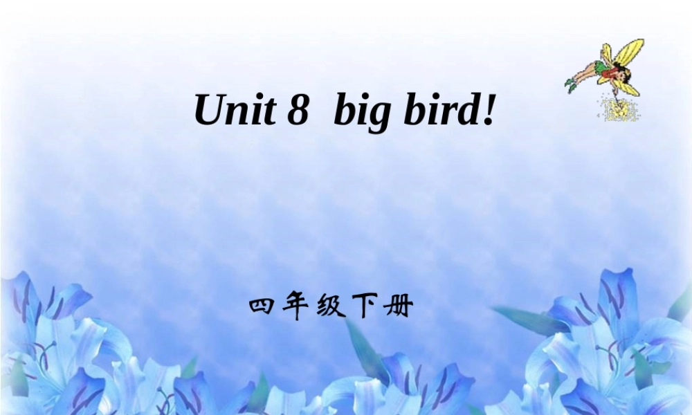 四年级下英语课件-Unit8 big bird-北师大版(三起).ppt