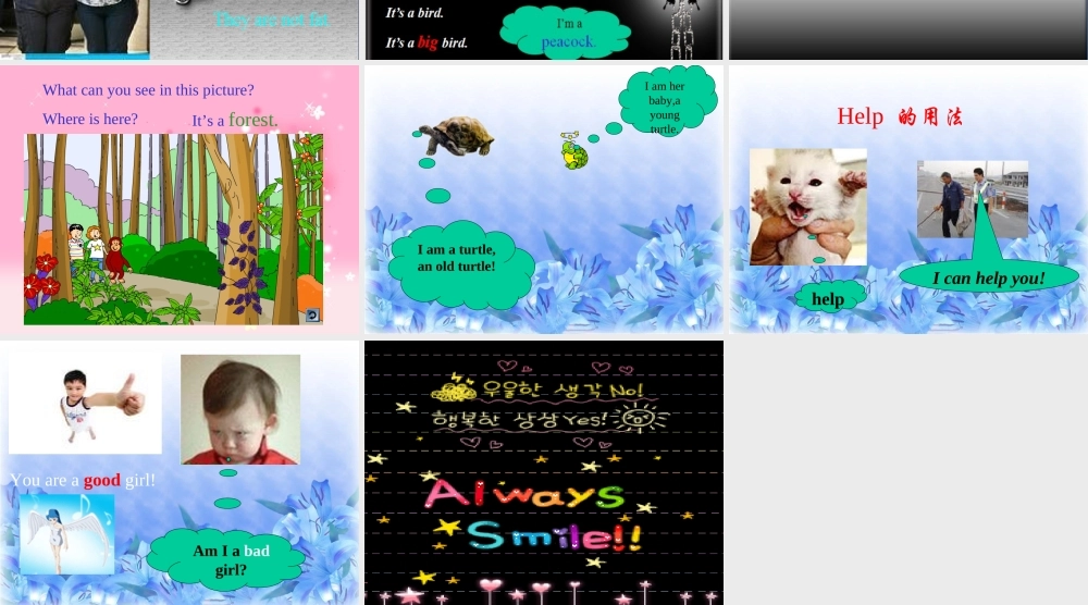 四年级下英语课件-Unit8 big bird-北师大版(三起).ppt