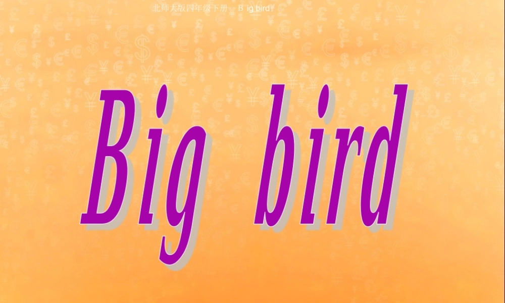 四年级下英语课件-Unit8 big bird（5）-北师大版(三起).ppt