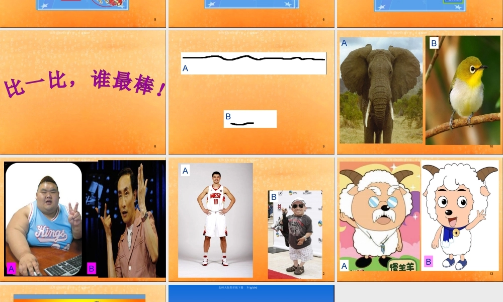 四年级下英语课件-Unit8 big bird（5）-北师大版(三起).ppt