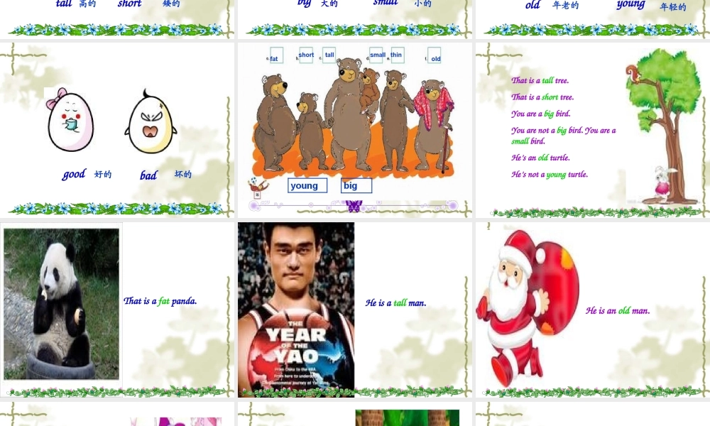 四年级下英语课件-Unit8 big bird（6）-北师大版(三起).ppt