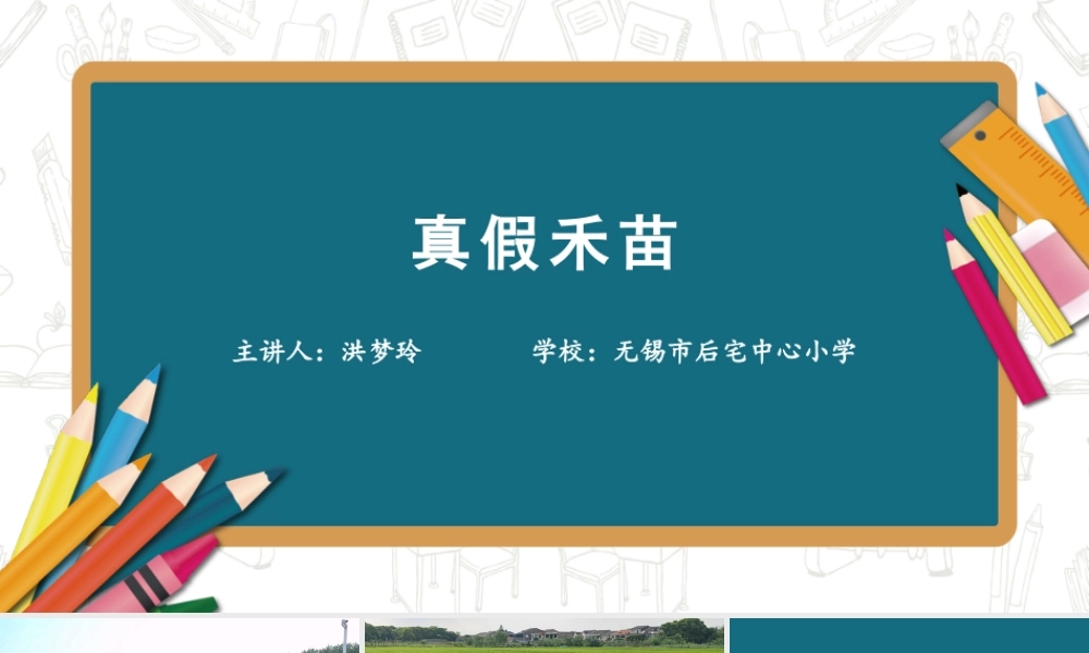 真假禾苗【学霸网www.xue-ba.org】.pptx