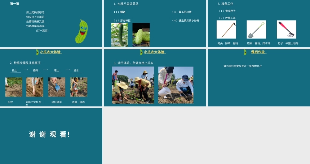 种植黄瓜【学霸网www.xue-ba.org】.pptx