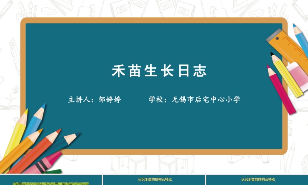 禾苗成长日志【学霸网www.xue-ba.org】.pptx