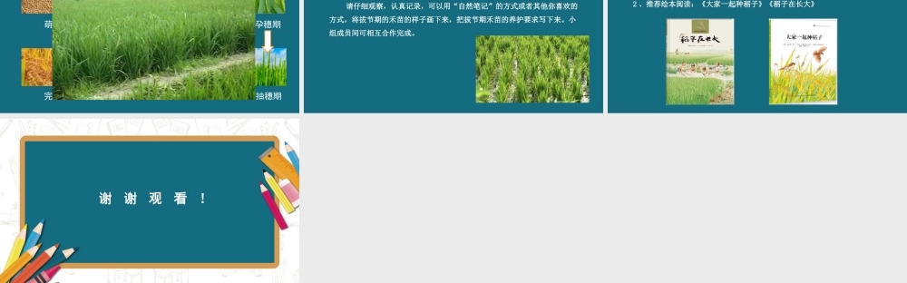 禾苗成长日志【学霸网www.xue-ba.org】.pptx