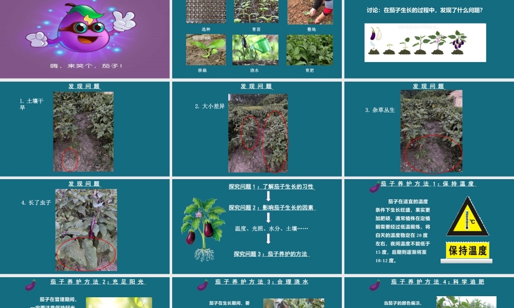茄子养护【学霸网www.xue-ba.org】.pptx