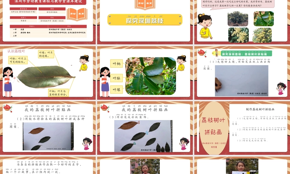 课时16978_一年级下册活动16《探究深圳荔枝》第二课时-活动16《探究深圳荔枝》第二课时.pptx