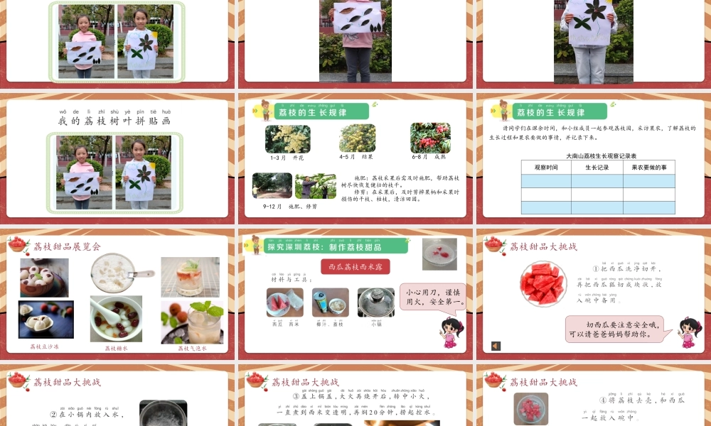 课时16978_一年级下册活动16《探究深圳荔枝》第二课时-活动16《探究深圳荔枝》第二课时.pptx