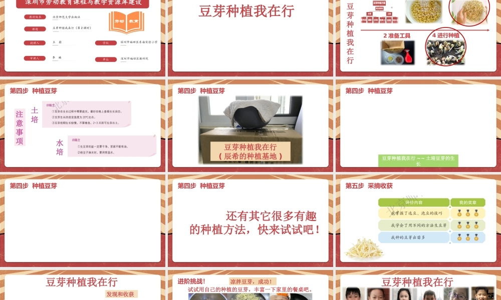 课时16983_二年级下册 活动10 《豆芽种植我在行》（第二课时）-深圳市小学劳动教育教学资源库(种豆芽2）.pptx