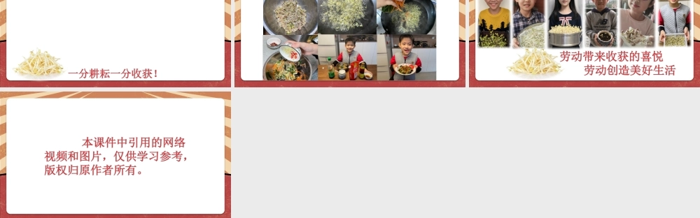 课时16983_二年级下册 活动10 《豆芽种植我在行》（第二课时）-深圳市小学劳动教育教学资源库(种豆芽2）.pptx