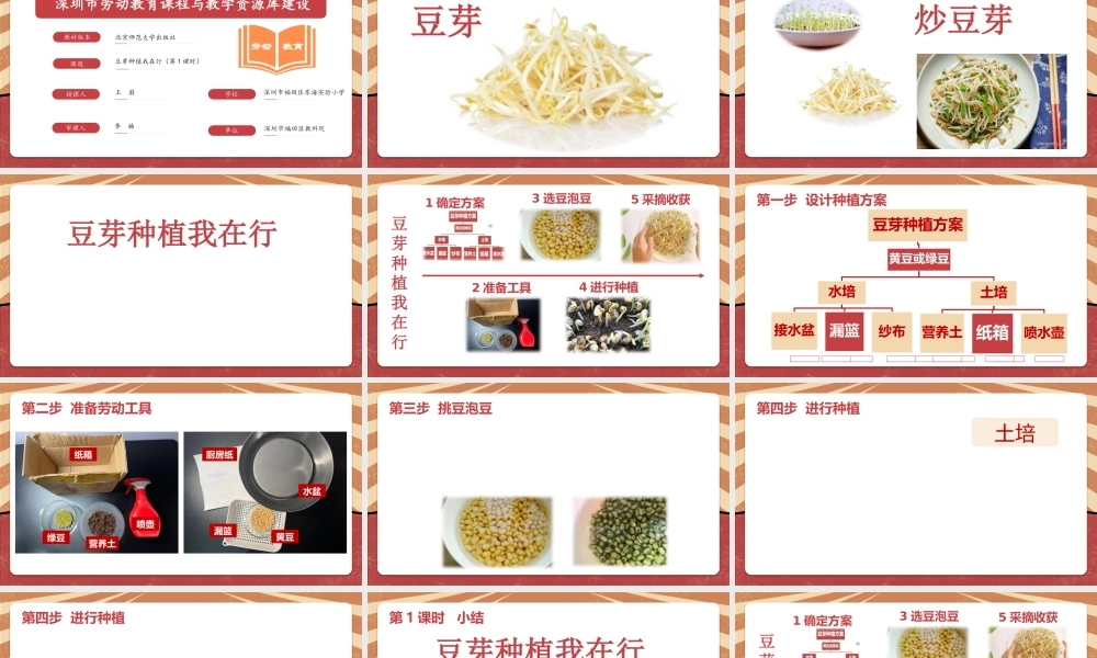 课时16981_二年级下册 活动10 《豆芽种植我在行》（第一课时）-深圳市小学劳动教育教学资源库(种豆芽1）.pptx