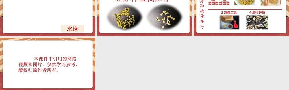 课时16981_二年级下册 活动10 《豆芽种植我在行》（第一课时）-深圳市小学劳动教育教学资源库(种豆芽1）.pptx